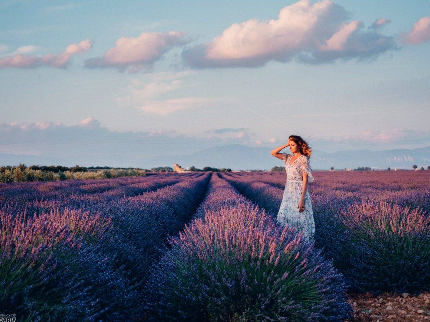 лаванда,  франция,  прованс,  портрет, Дарья Булавина