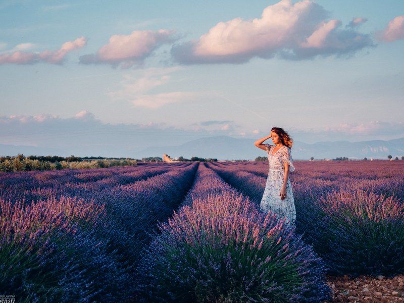 лаванда,  франция,  прованс,  портрет Настя фото превью