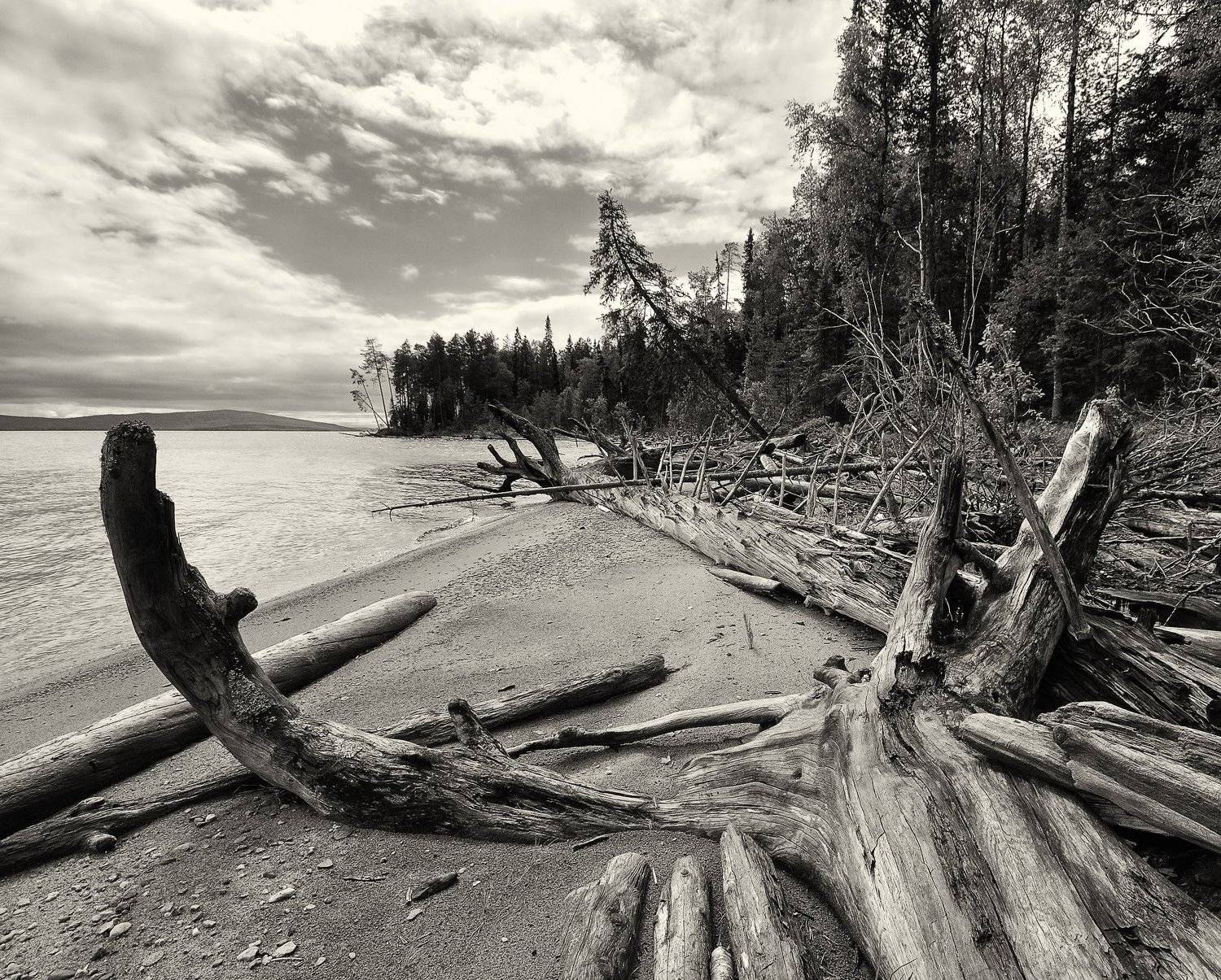 , Андрей Куликов