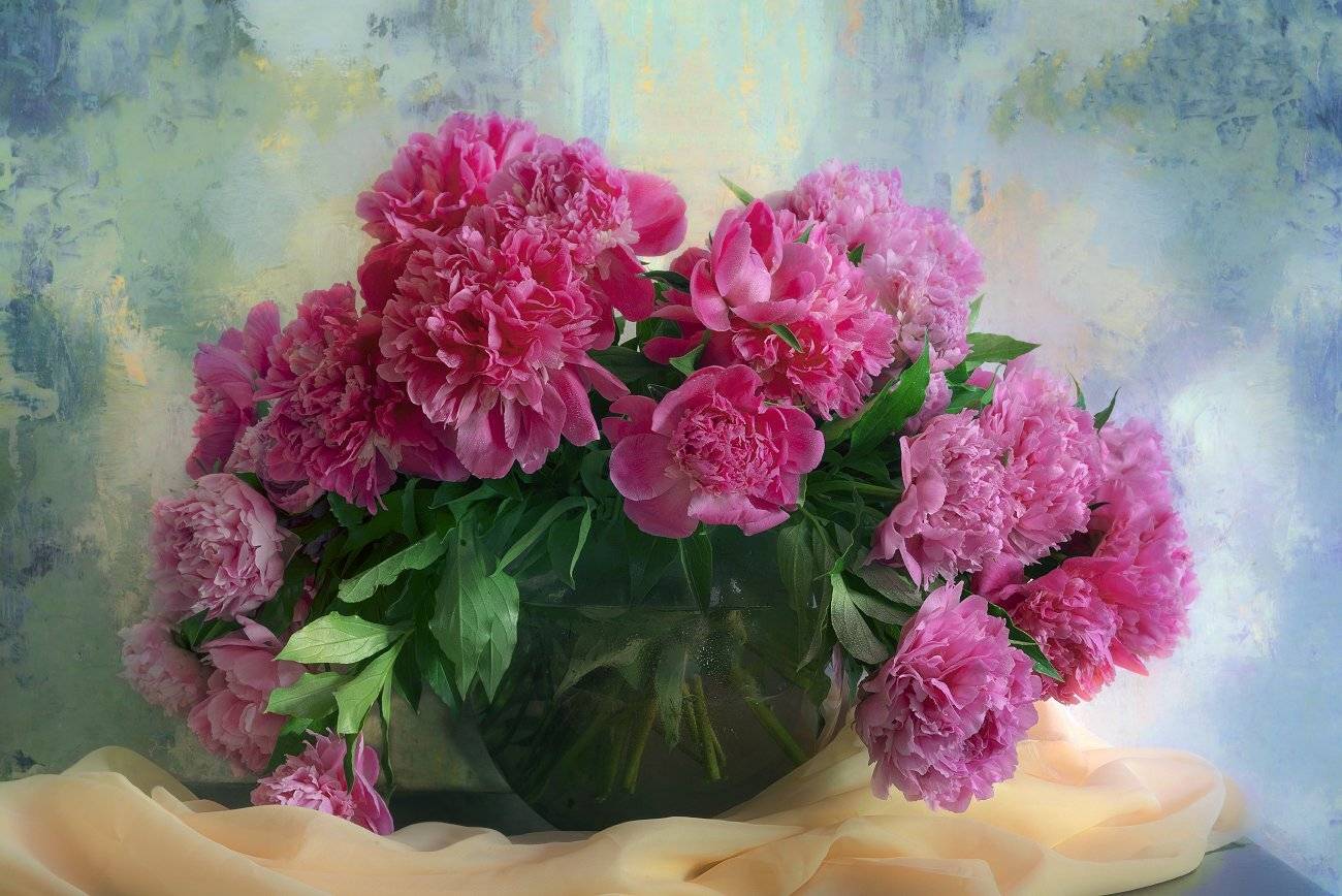 , Елена Брежицкая