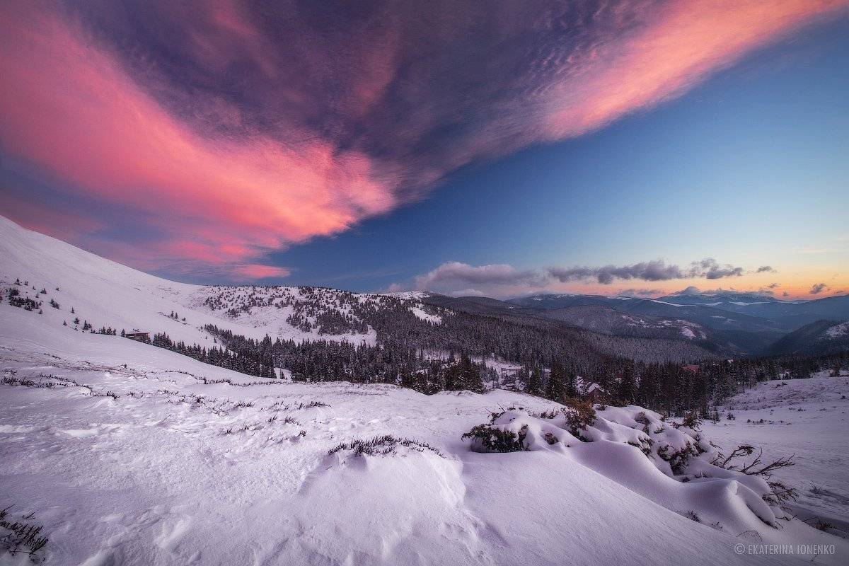 , Екатерина Ионенко