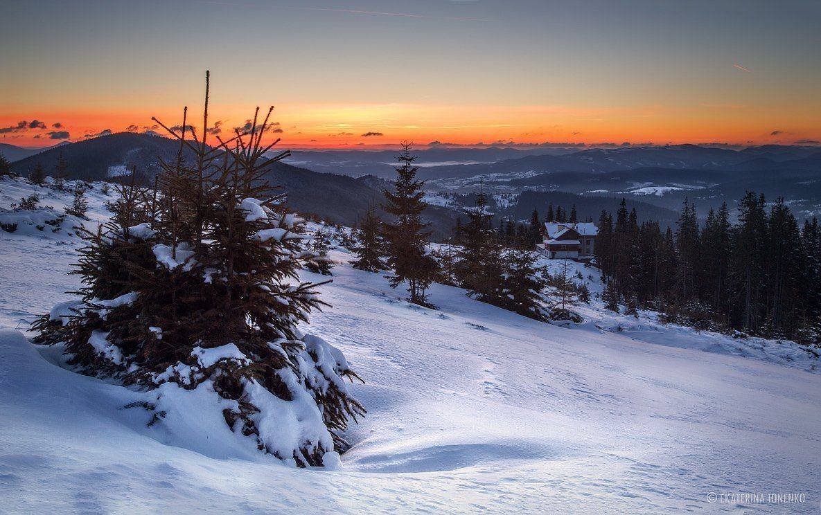 , Екатерина Ионенко