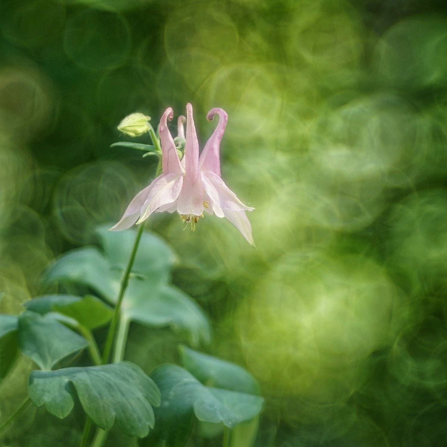 , Сергей Фатин