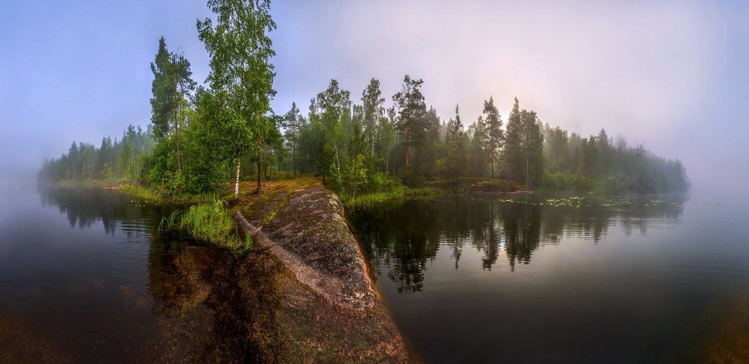 лето, болото, север, фототур, ленинградская область, озеро, туман, рассвет., Лашков Фёдор