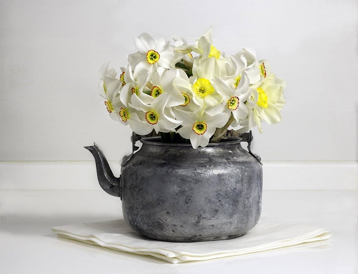 чайник, старый чайник, цветы, нарциссы, белый фон, натюрморт, белый стол, натюрморт с цветами, винтаж, Наталья Бочкарева