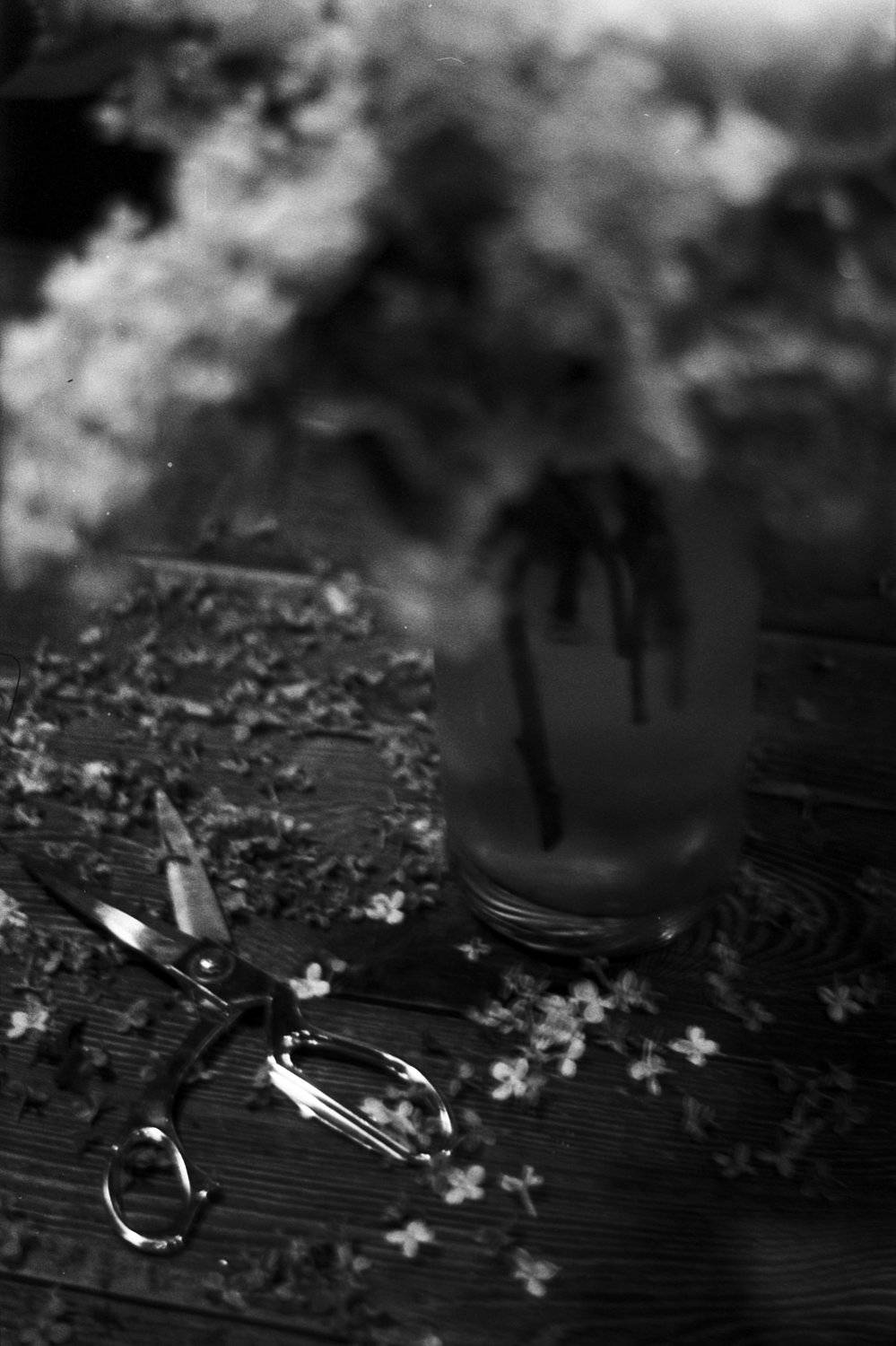 , Юркивский Игорь