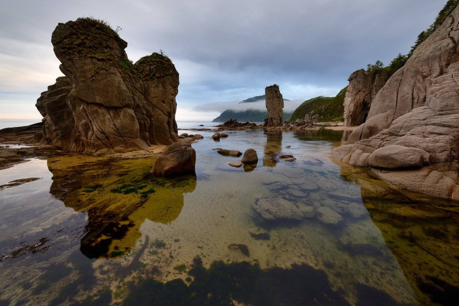 , Максим Евдокимов (www.wildphotorus.ru)