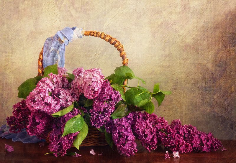 цветы, сирень, букет, корзина Густые и влажные кисти сирени фото превью