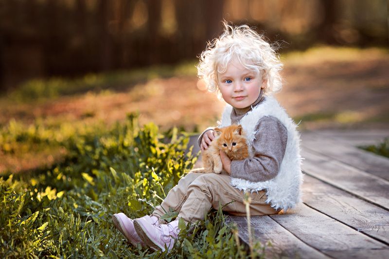 2 котенка фото превью