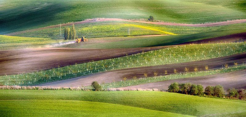 Весна фото превью