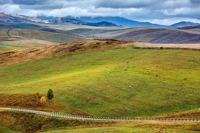 Просторы Алтая! фото превью