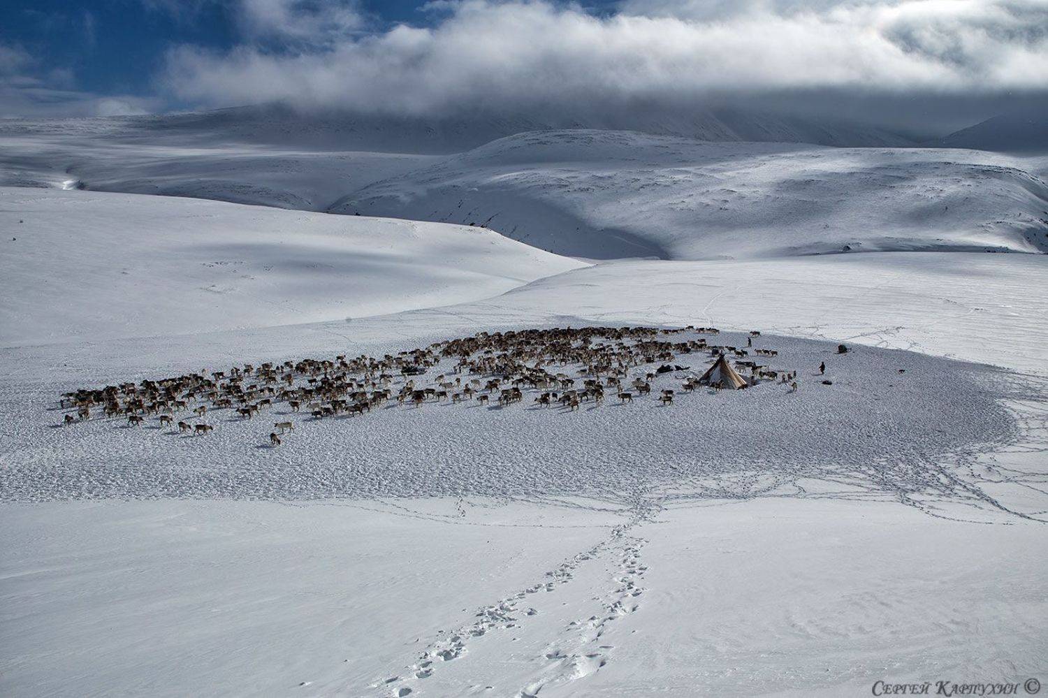 полярный урал, стойбище, оленеводы, чум, олени, горы, снег, Сергей Карпухин