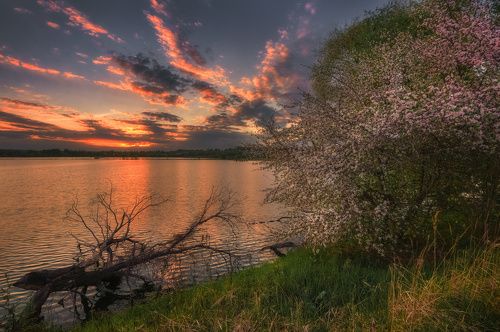 /Подмосковные вечера... / 
