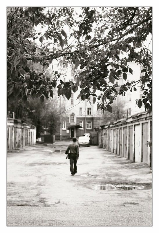 весна, май, черно-белое Черно-белая весна. Май. фото превью