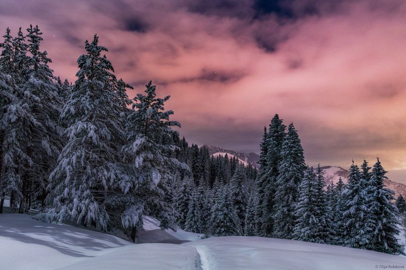 горы, ночь, лунный свет, зима Лунная ночь фото превью