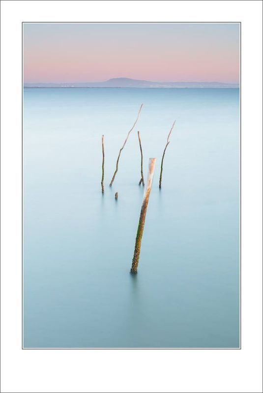 Японский мотив фото превью