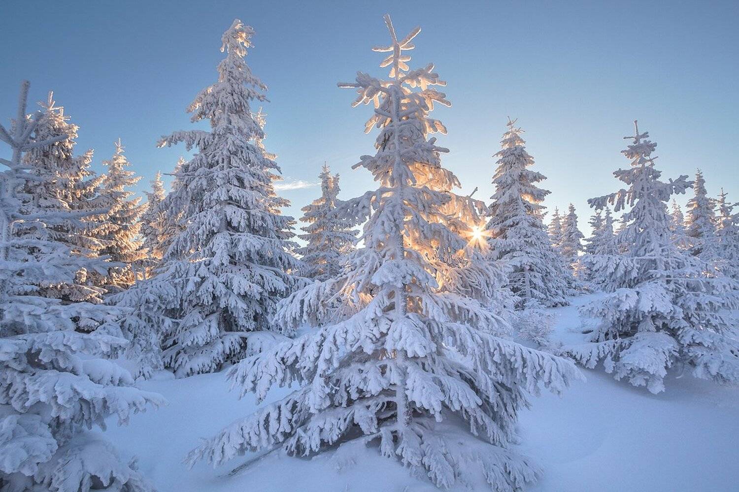 landscape,canon,winter, Iza,Darek