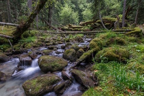 Река Бадук...