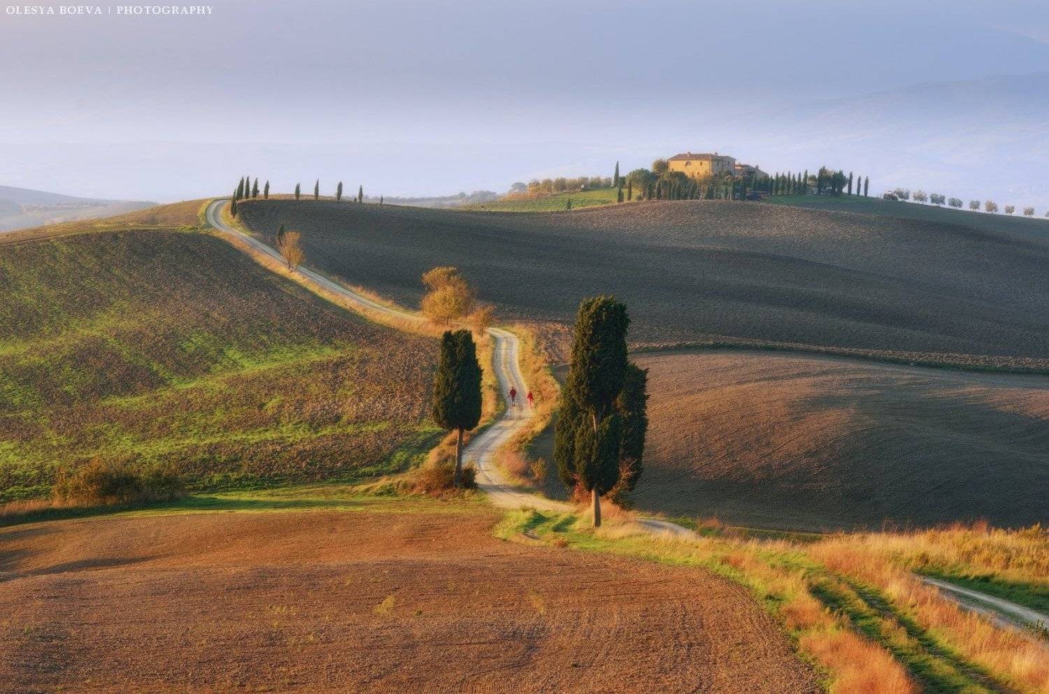 Тоскана, осень, поля, Италия, Italy, Tuscany, autumn, fields, Олеся Боева