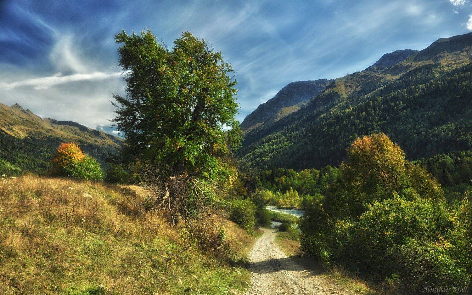 , Александр Круль