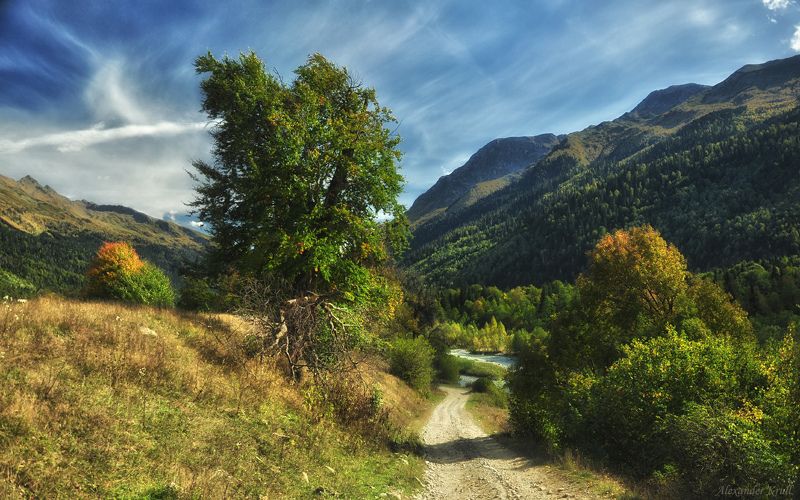 Туда, к реке... фото превью