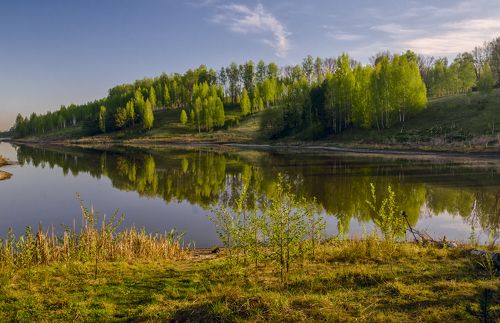 Рассвет на лесном озере