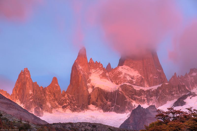 фицрой Сахарная вата фото превью