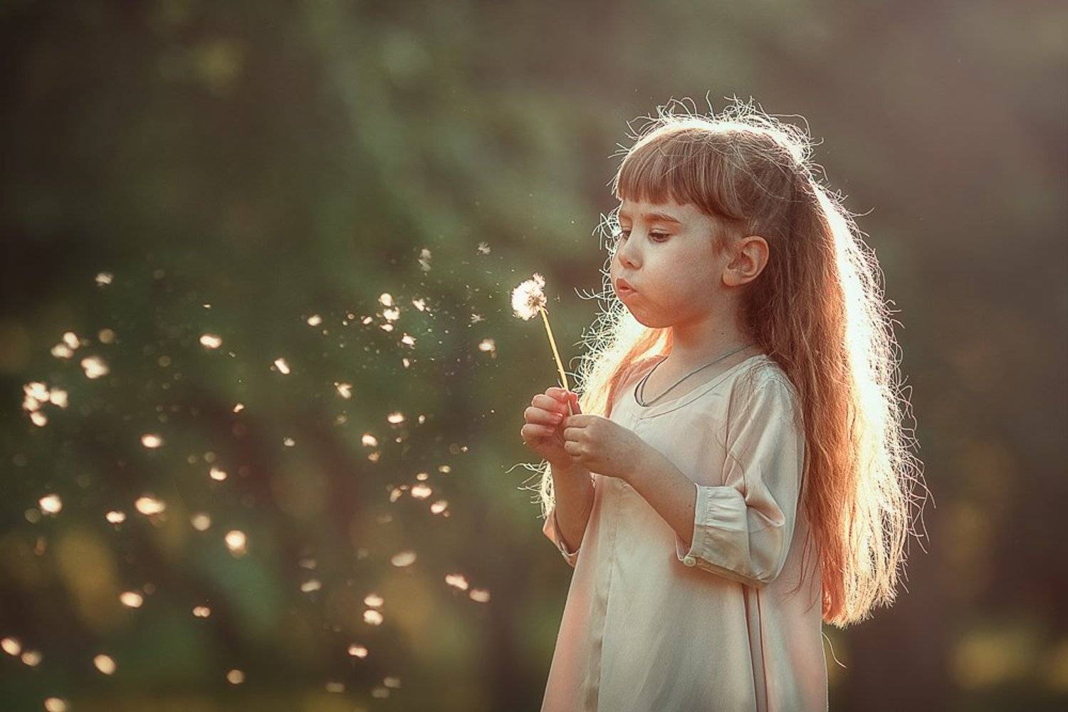 , Захаркова Екатерина