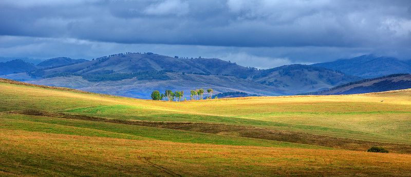 Алтайский край! фото превью