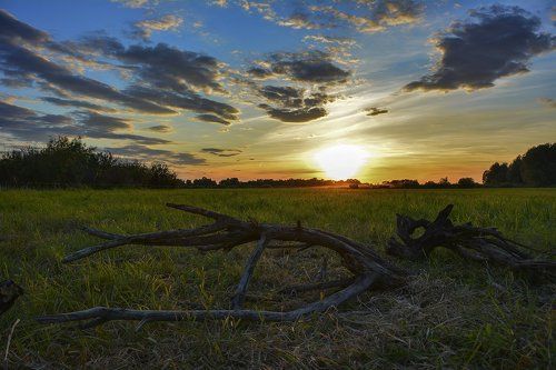 Вечерняя зарисовка