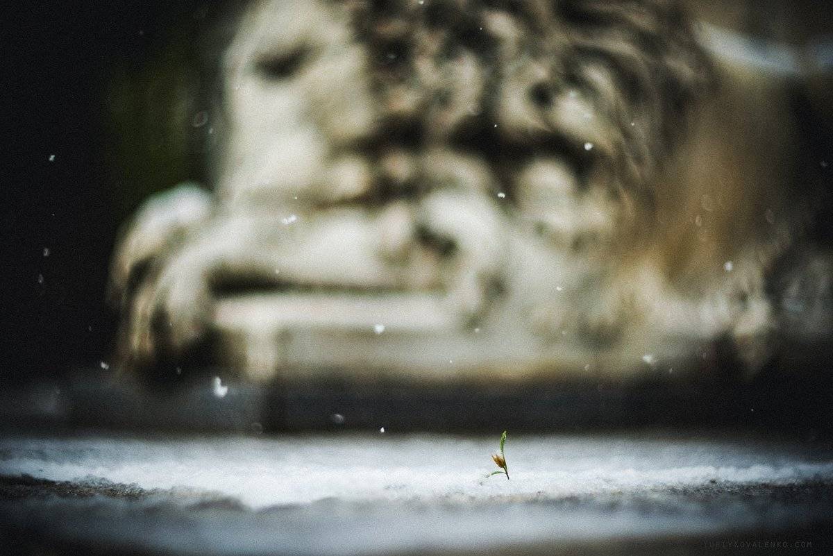 , Юрий Коваленко