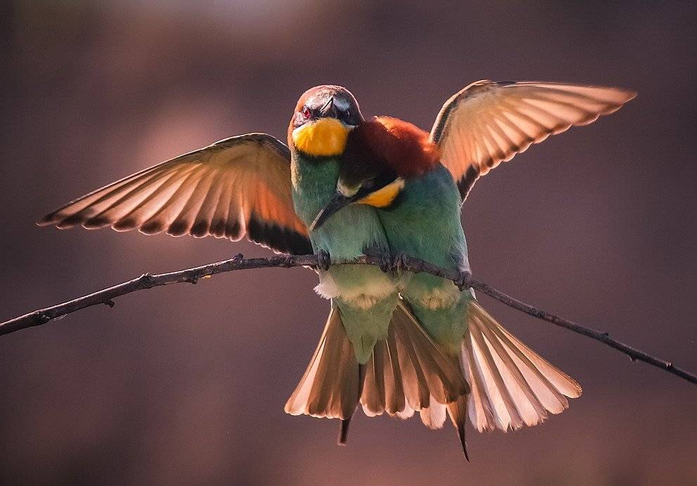 , Вячеслав Мищенко