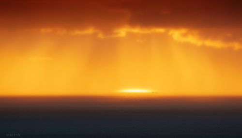 Купаясь в солнечных лучах.