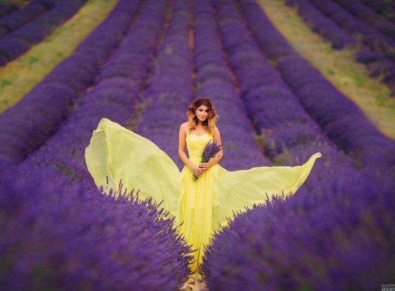 лаванда,  франция,  прованс,  портрет Настя фото превью