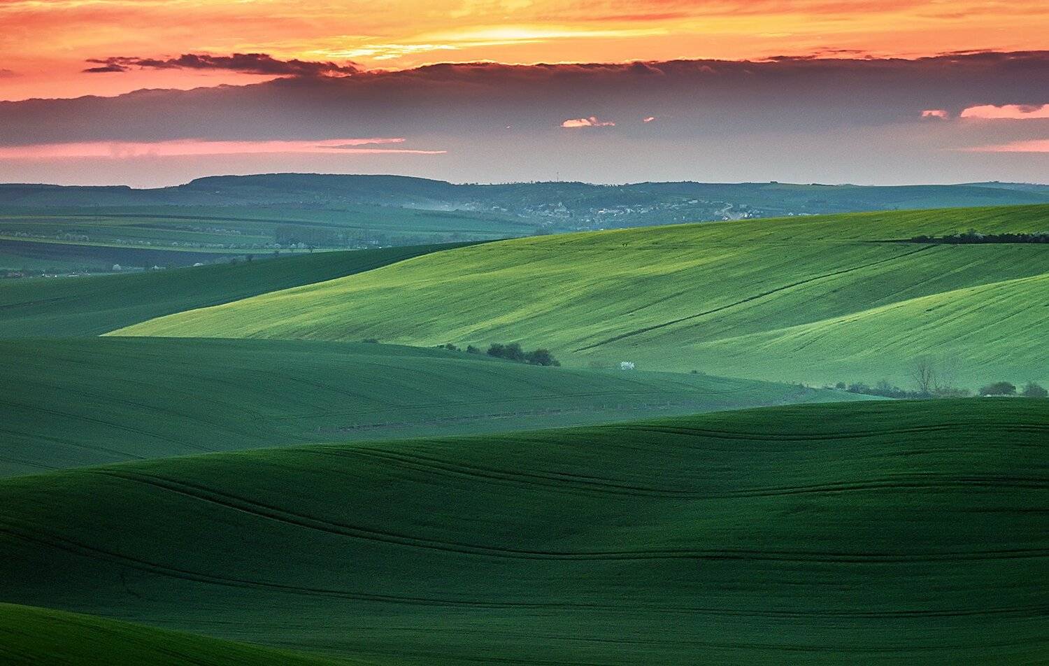 Field of the sunset. Автор: suk eun kim , suk eun kim