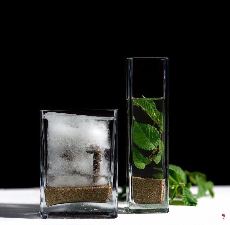 «Mojito» … из серии [гербарий] фото превью