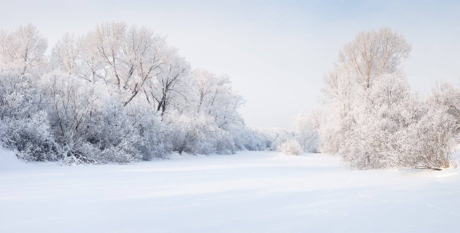 , Лещёнок Александр