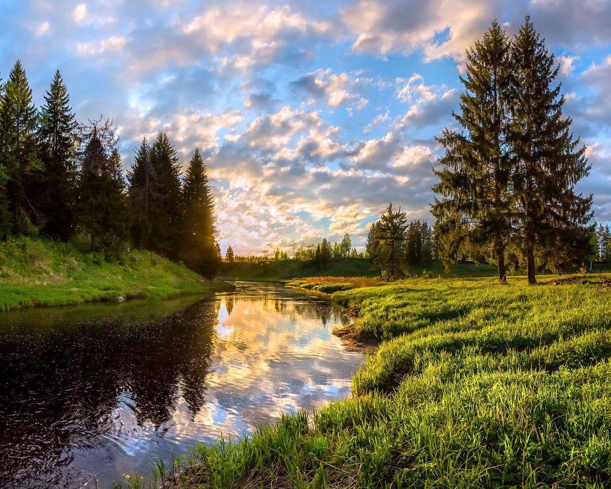 фототур, закат, река, весна, ленинградская область, деревья, лес, сказка, ели, облака, отражение, трава, берег,, Лашков Фёдор