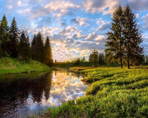 В тридевятом царстве....