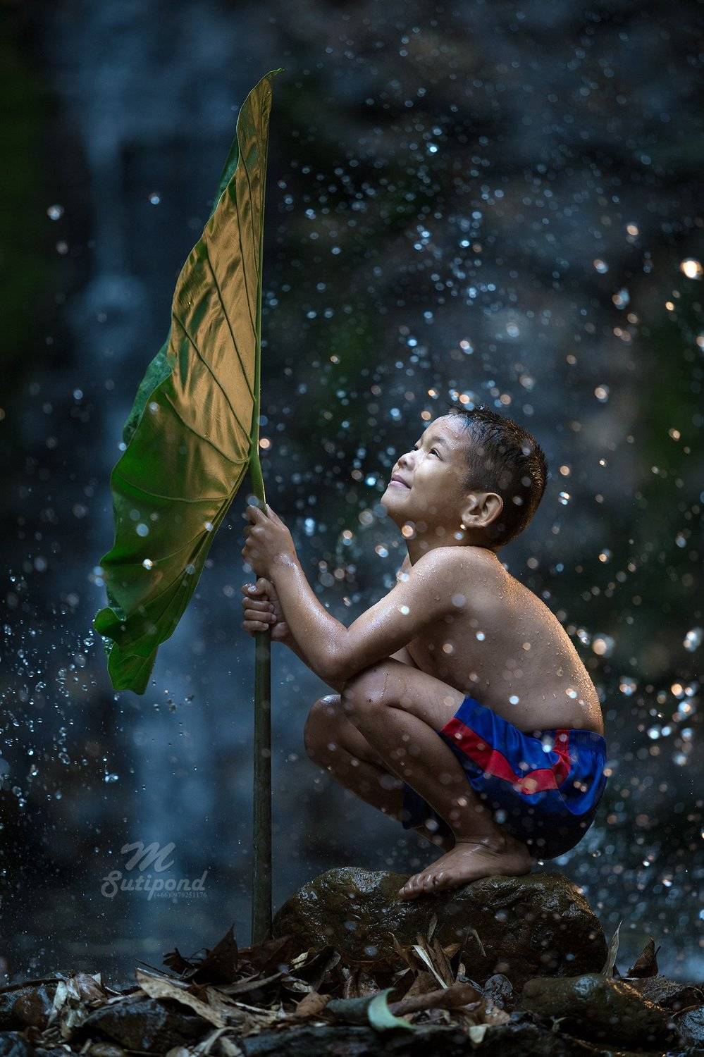 child,kid,hope,happiness,boy,, SUTIPORN SOMNAM