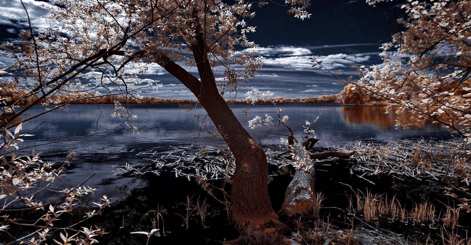 infrared,ик-фото,инфракрасное фото,инфракрасная фотография,пейзаж,природа,беларусь,весна, Sixten ( Сергей )