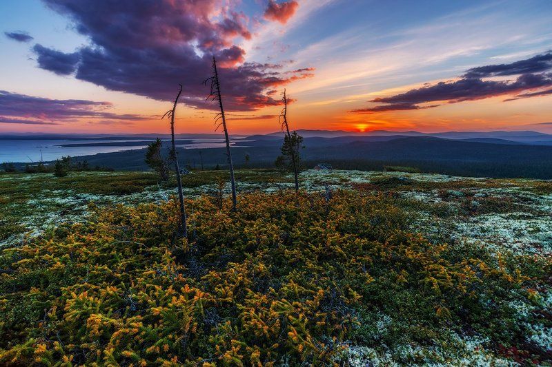 Сопки в закате. фото превью