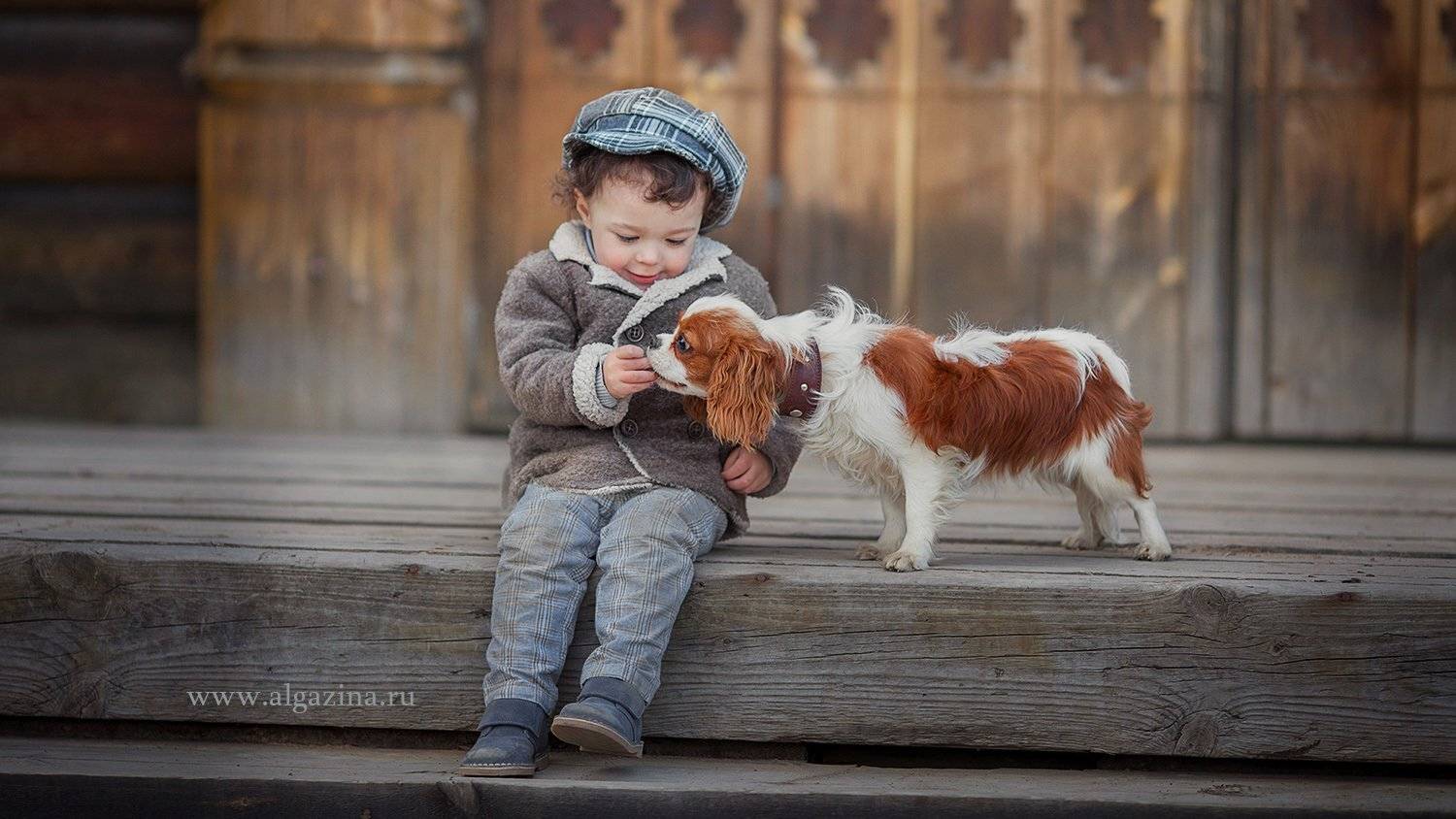 мальчик дети ребенок малыш собака щенок, Елена