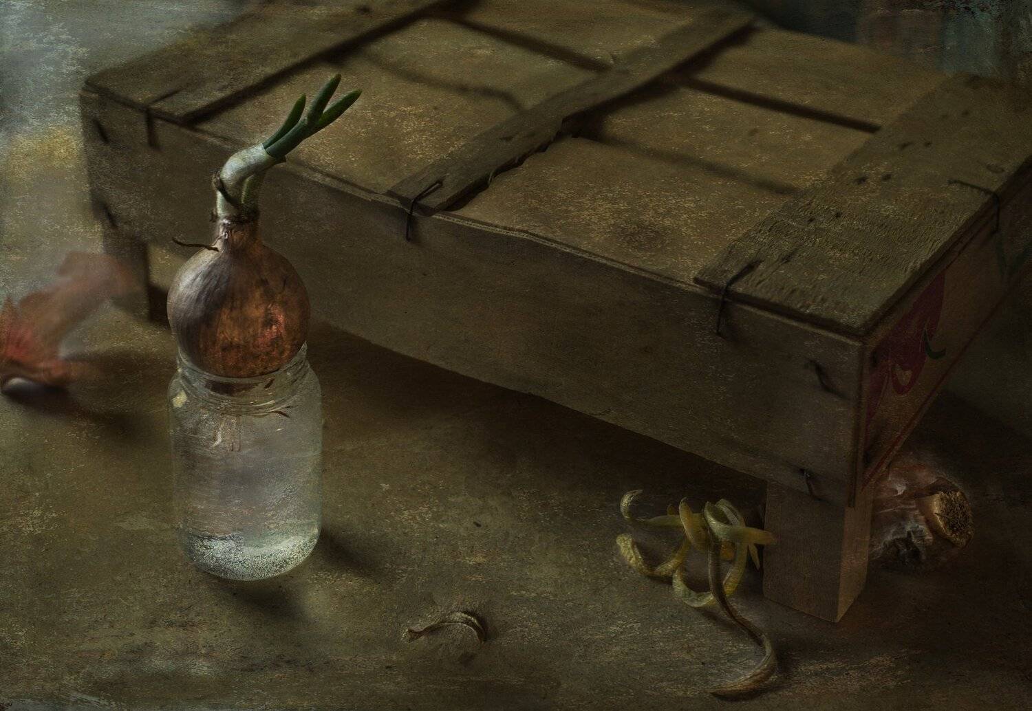 лук, Ирина Данилова