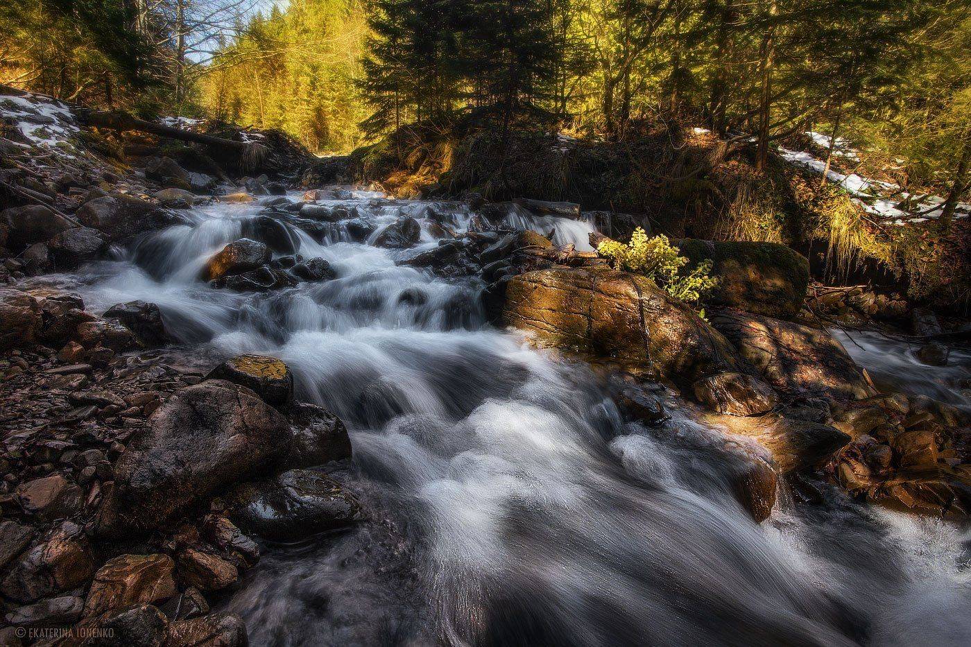 , Екатерина Ионенко