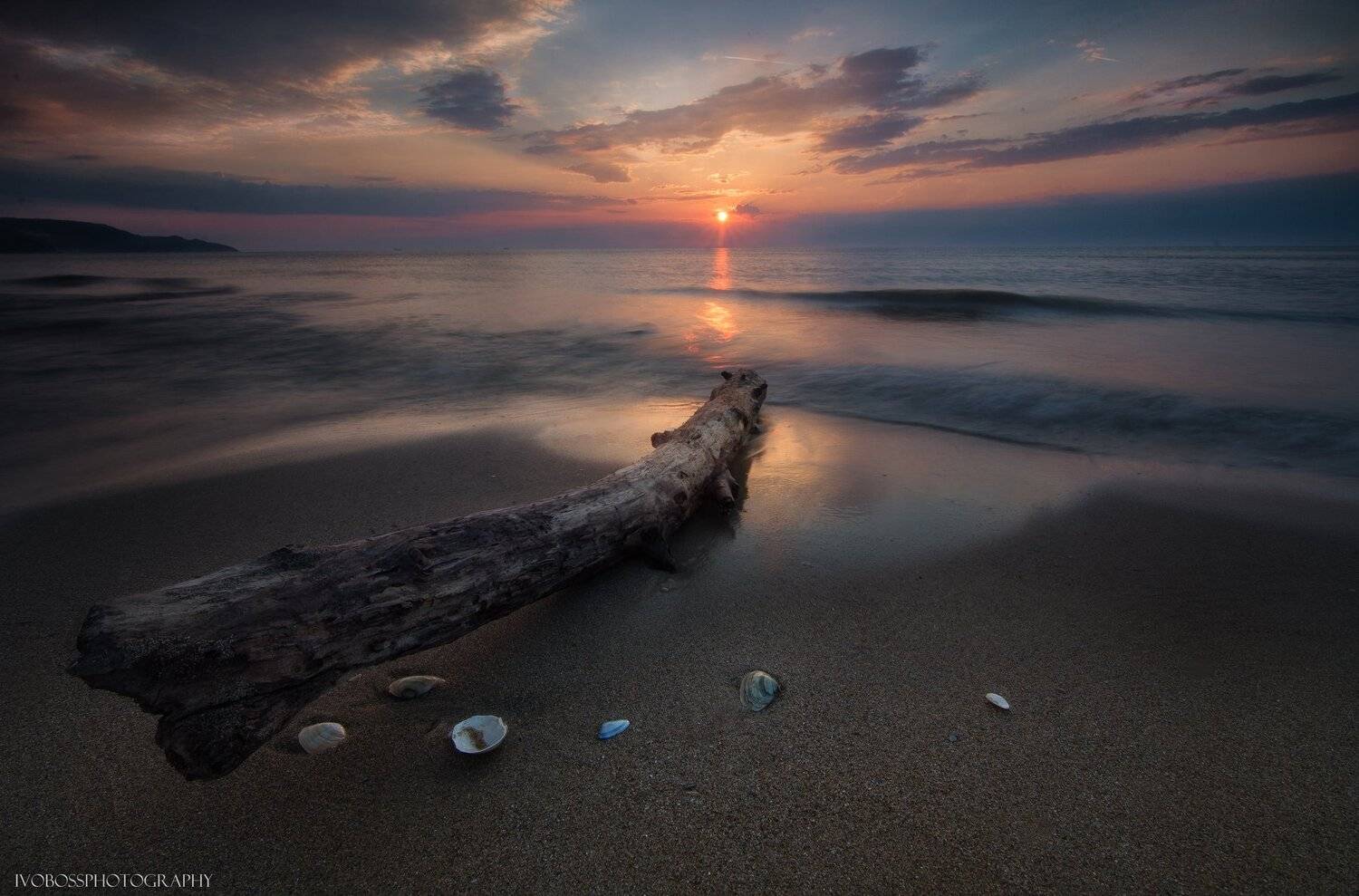 , Ivailo Bosev