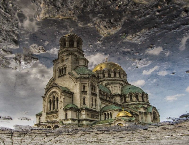 To see the world in a puddle of water... фото превью