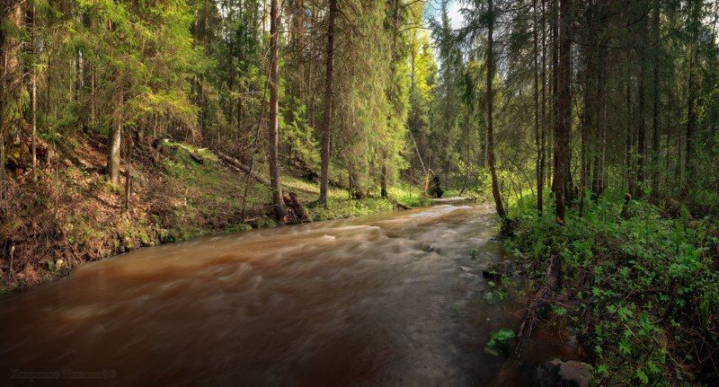 лето начинается... фото превью