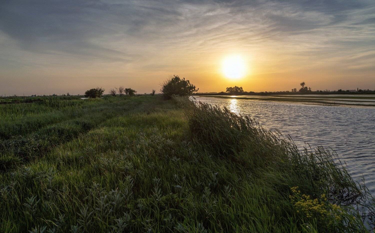 , Алексей Рыльский