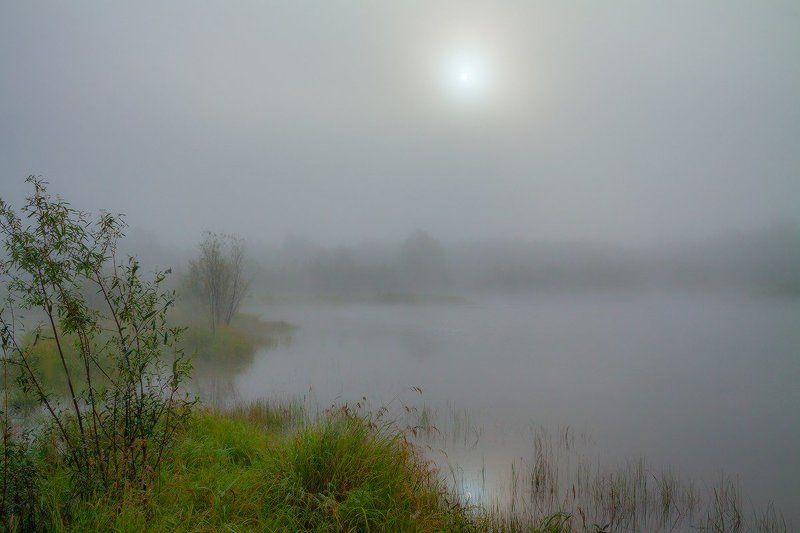 В прохладе утреннего тумана фото превью